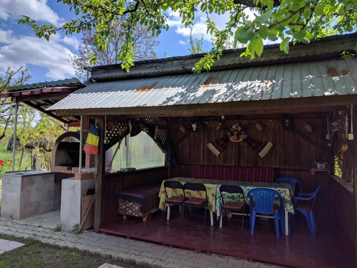 Cazare Adela Horezu Esterno foto